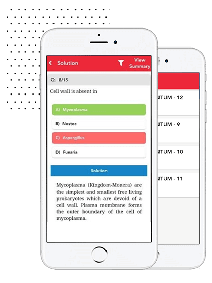 Neetmasters mobile app portfolio