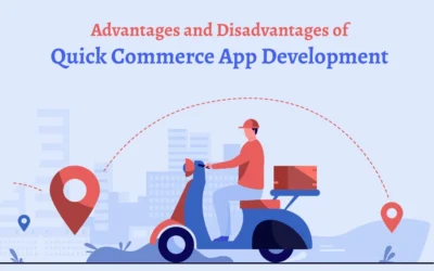 Advantages and Disadvantages of Online Quick Commerce Business