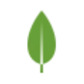 MongoDB